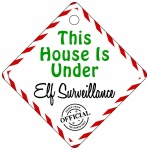 This House Is Under Elf Surveillance Metal House Window Sign